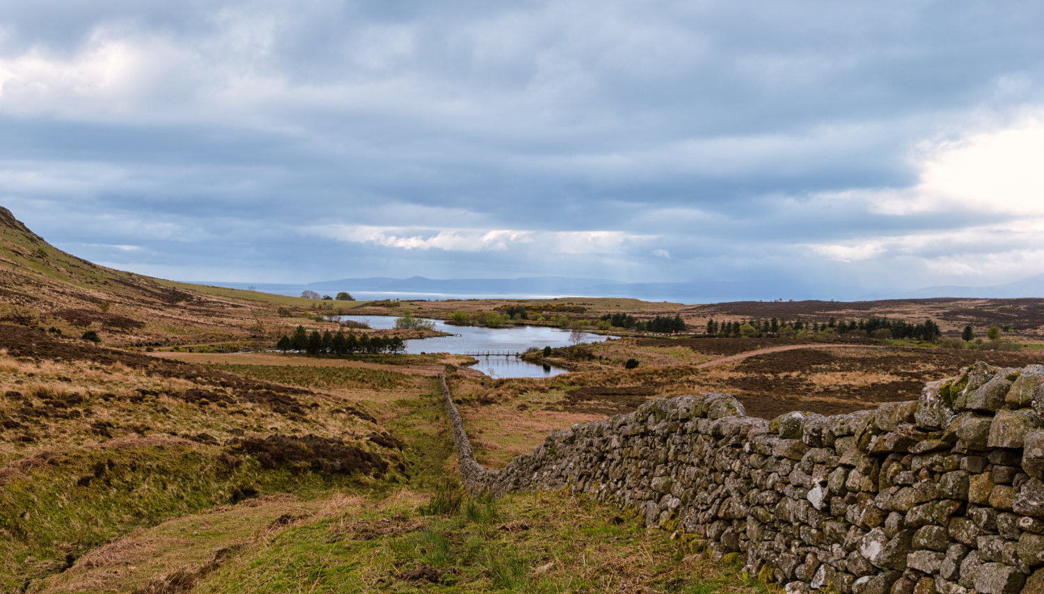 Ayrshire