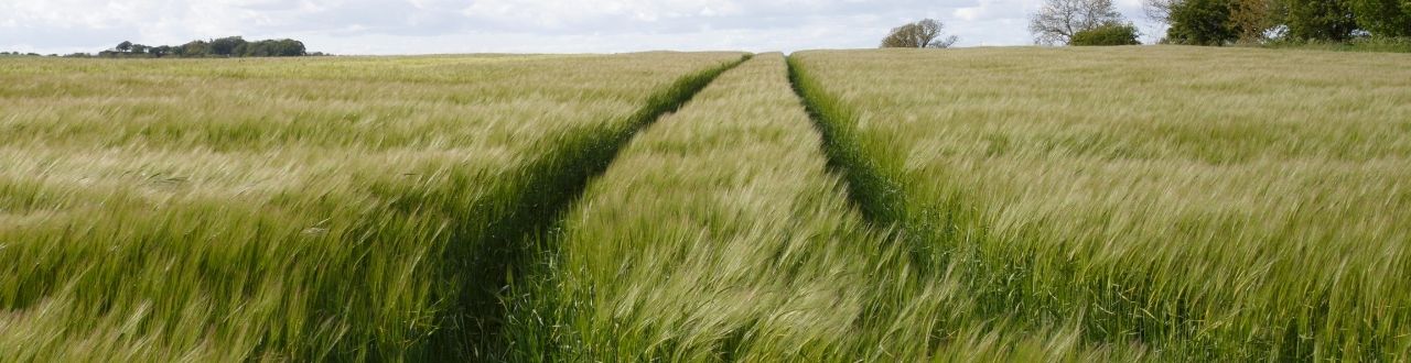 Farm Insurance