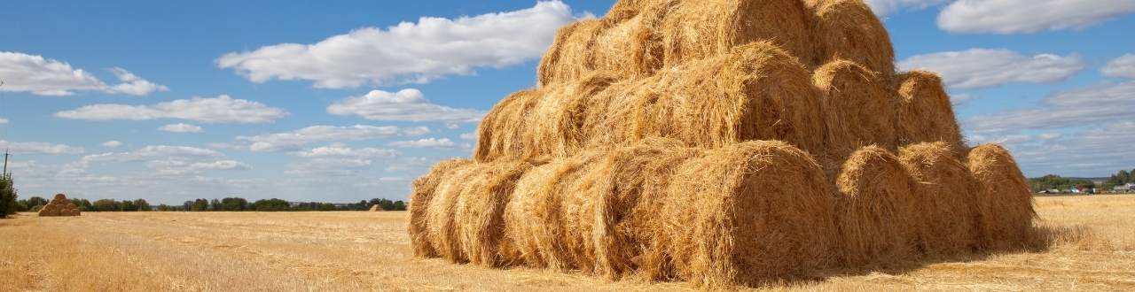 Rural Business Insurance