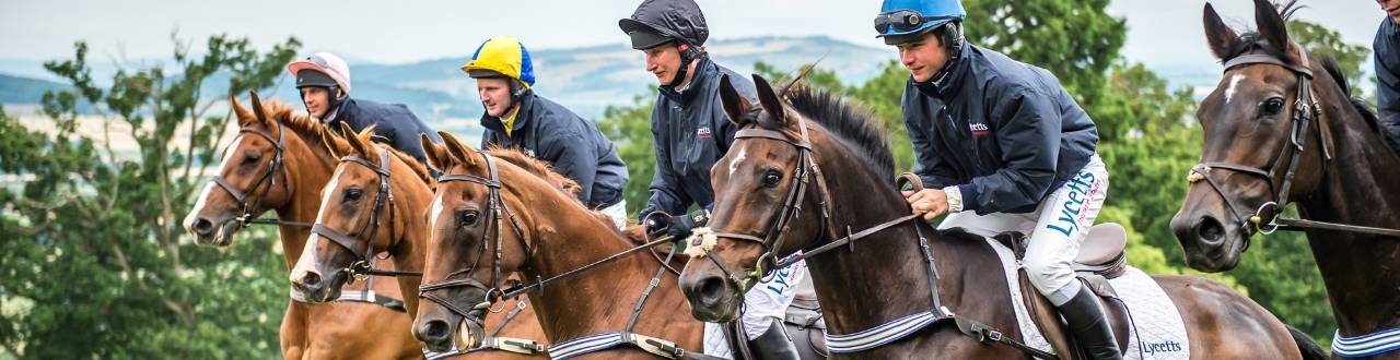 Horse Insurance